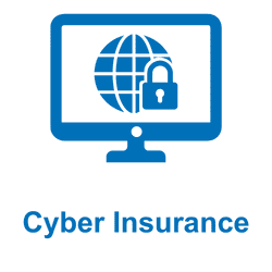 Blue icon showing a globe with network nodes on a computer screen labeled Cyber Insurance.